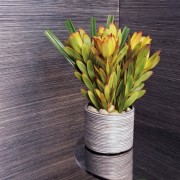papier-peint-elitis-luxury-walls-paille-japonaise-rm-402