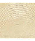 RM 1119 05