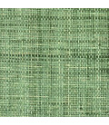 RM 1017 60