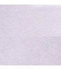 VP 625 31