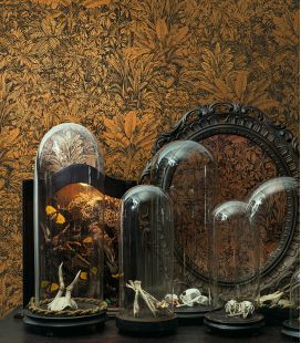 Wallpaper Khrôma Cabinet of Curiosities Sauvage CAB 301-305