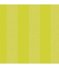 Elitis Toile Peinte Colours and Prints Rayure VP 406 15